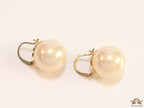 16mm champagne pearl earrings with golden loop