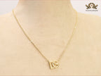 Alphabet D and G gold chain