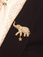 Alphabet CD cz brooch